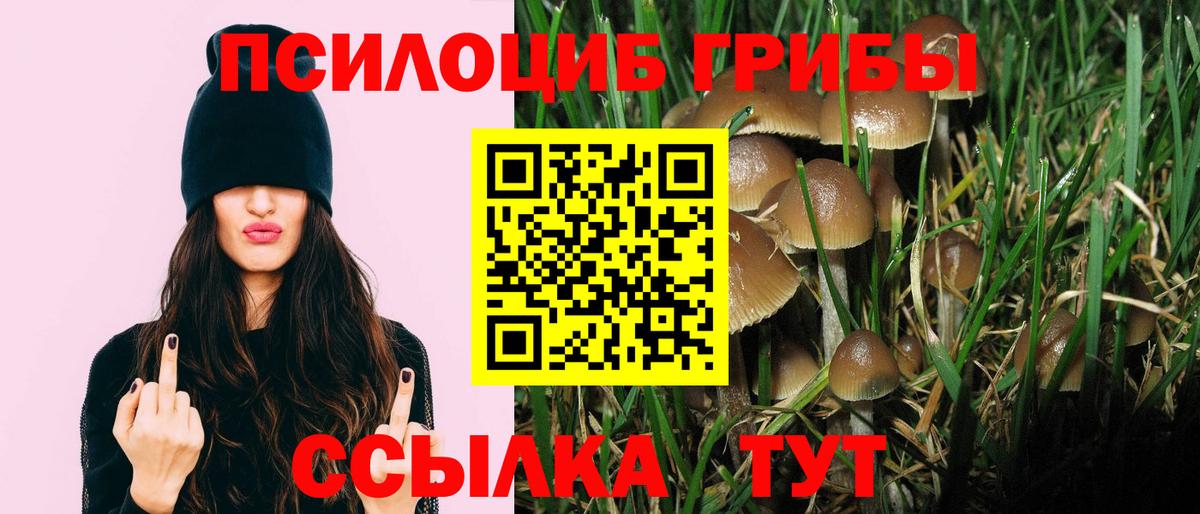 Галлюциногенные грибы Magic Shrooms  Вход с VPN  Югорск 