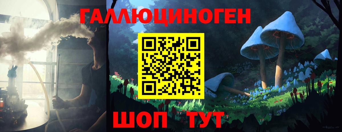 Галлюциногенные грибы Psilocybine cubensis Югорск